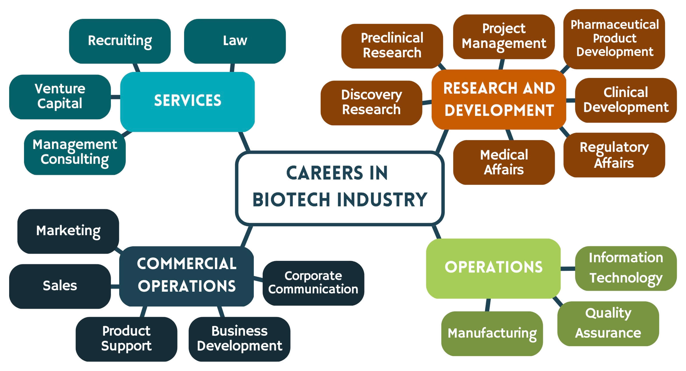 Careers in Biotech Industry