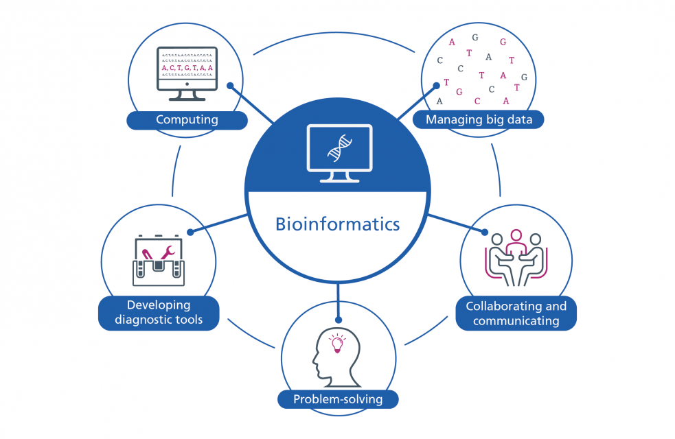 What is Bioinformatics and Why Does it Matter?