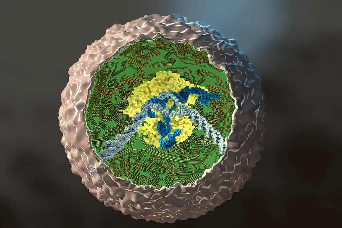 Synthetic Biology Circuits for Programmable Cell Signaling
