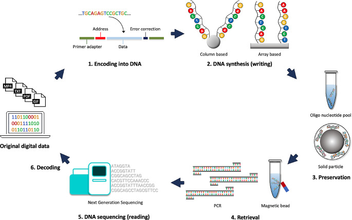 DNA-Based Data Storage & Retrieval Systems