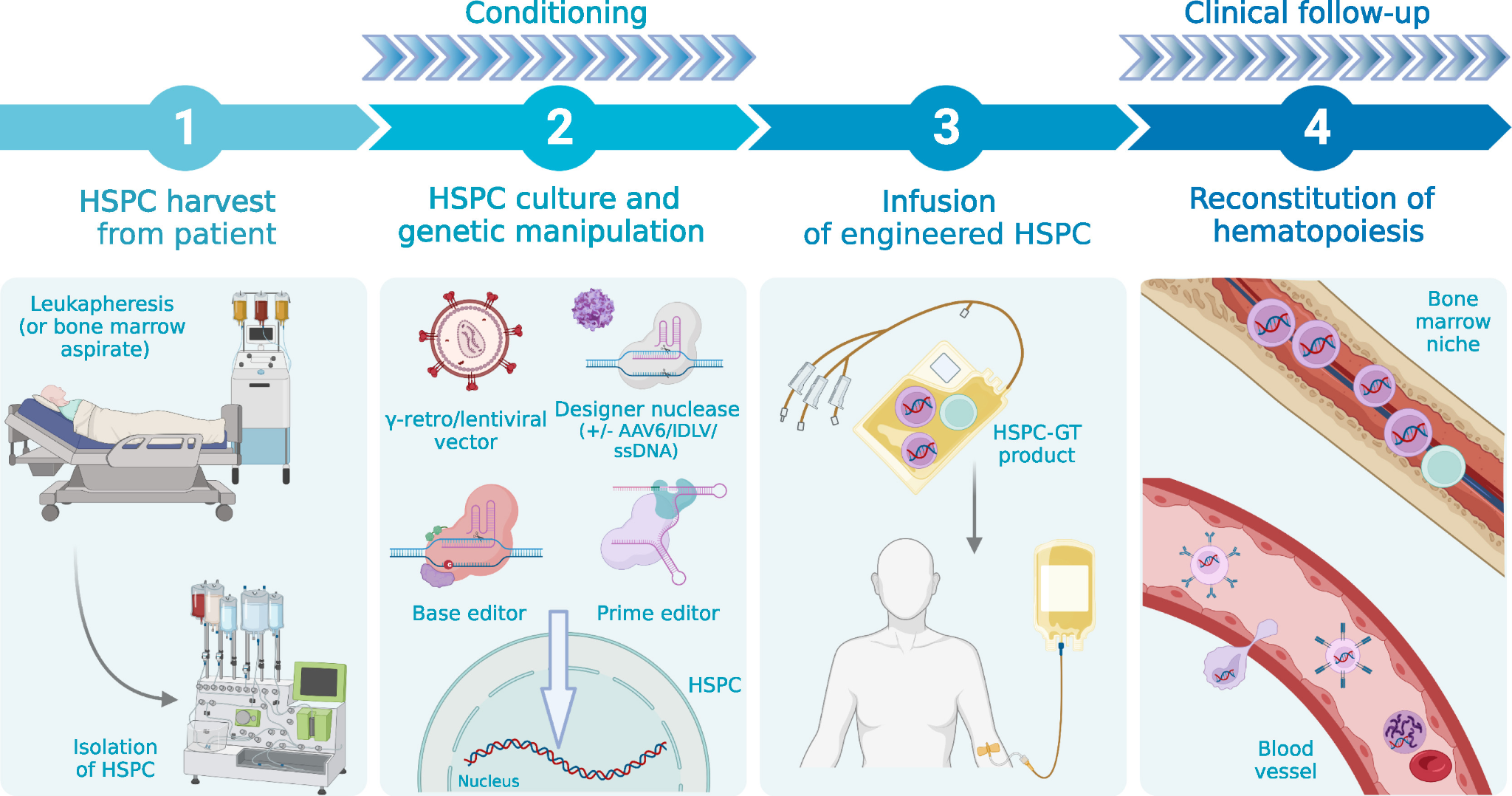Gene-Edited Autologous Stem Cell Therapies for Inherited Metabolic Disorders