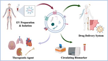 Programmable Extracellular Vesicle Therapeutics